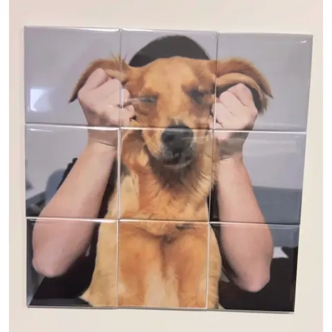 9-Piece Magnet Puzzle